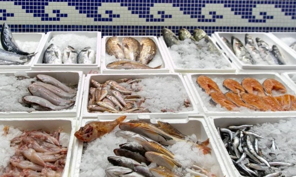 Θεσσαλονίκη: Πτώση στην κατανάλωση ψαριών σε ιχθυοπωλεία και ταβέρνες μετά τις πλημμύρες